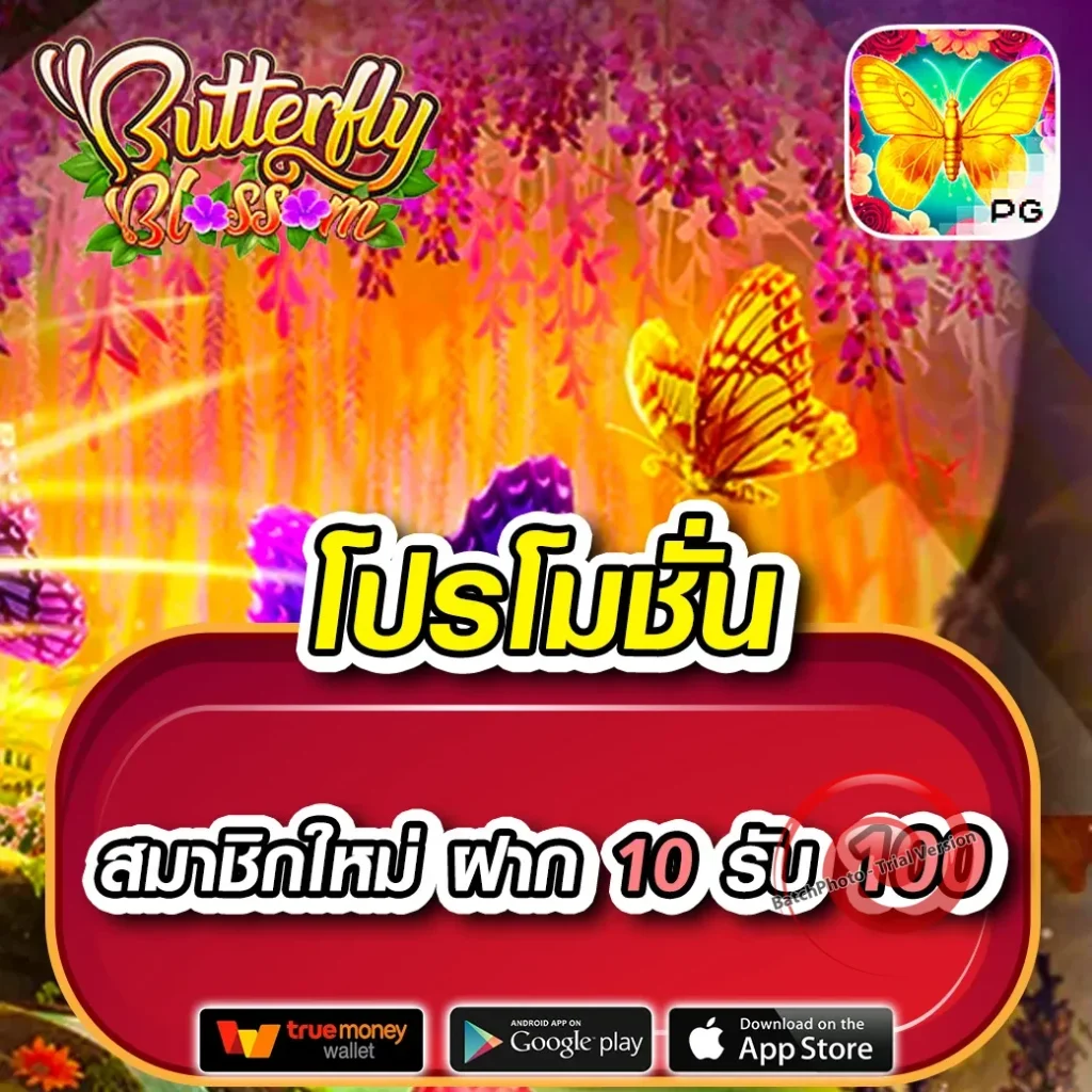 PG Soft casino